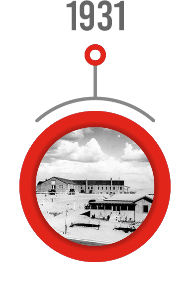 timeline-1931-over