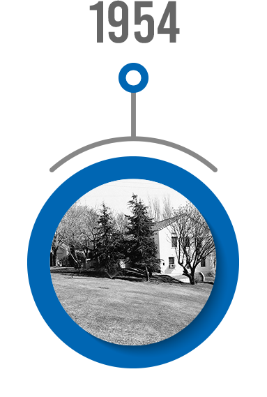 timeline-1954a