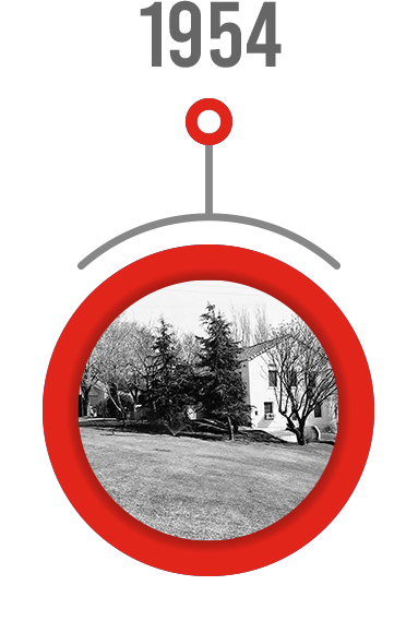 timeline-1954a-over