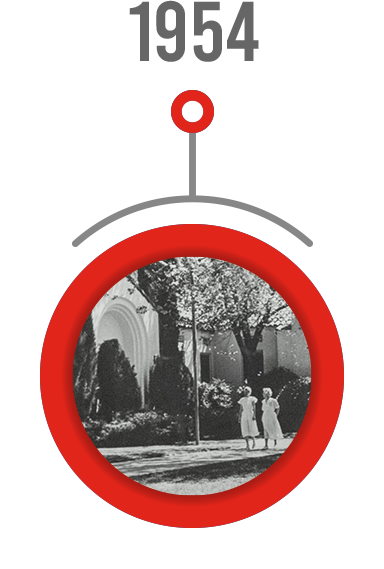 timeline-1954b-over