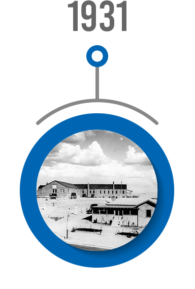 timeline-1931