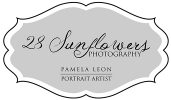 28 Sunflowers Photography