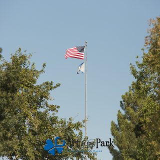 Art in the Park 2021 american flag above park